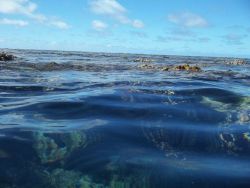 nhude:  took this when I was snorkeling in the great barrier