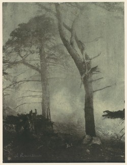 dianalily:  Henry Ravell: Fog and Cypress Trees. 1910s. 