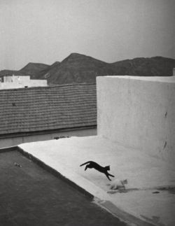 gueule-de-loupviolette: Bernard Plossu- Nijae, Andalusia, 1992.