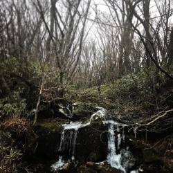 fy-exo:  170105Â oohsehun: í•œë¼ì‚°ê³ ë“œë¦„