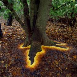sixpenceee:  Glowing base of tree made by arranging leaves. This