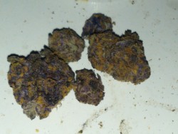 Purple 🍪 cookies! 