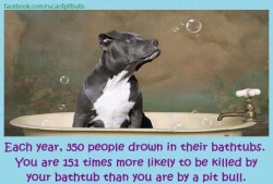pitbulls-and-parolees:  Why are pitbulls banned but bathtubs
