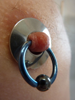 apadravya-piercing:  Nipple shield with a captive bead ring in