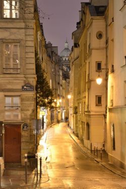 chateau-de-luxe:  and-the-distance:  Paris Street at Night  