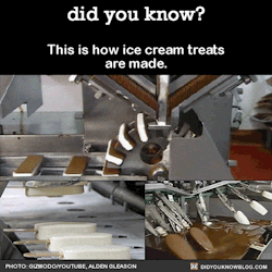 did-you-kno:  This is how ice cream treats are made.  Source