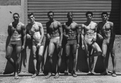 nickfolio:Parke & Ronen