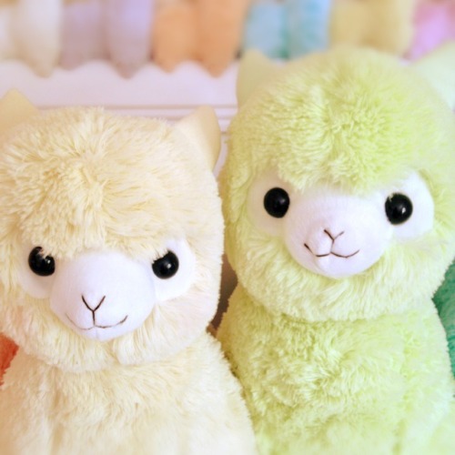 moccoe:  Rainbow macaroons  There’s like, a direct correlation between how many Alpacasso photos other post and how many mini tantrums I have. This is like being a kid and keeping on seeing ads for fancy, light up Polly Pockets and freaking out