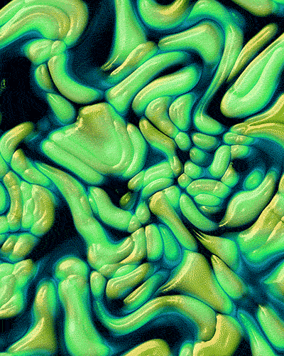 protobacillus:https://www.protobacillus.com