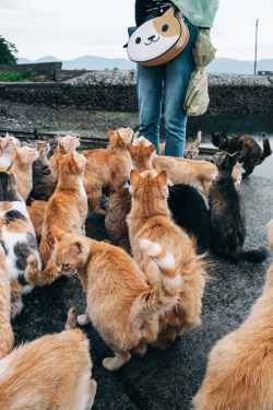 archiemcphee:Japanese photographer tsuchiyatakeshi captured