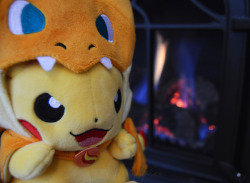 moonlightpkmn:  I’ll post the rest of my Pikazard photos tomorrow