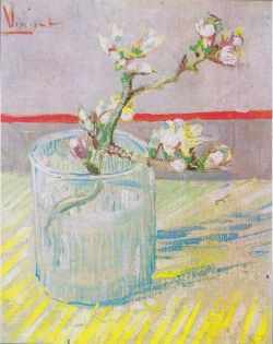 lejardindefleurs:  Vincent van Gogh’s Blossoming Almond Branches