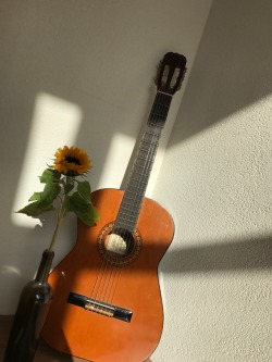 autumniskind: a sunflower & my gitar at golden hour