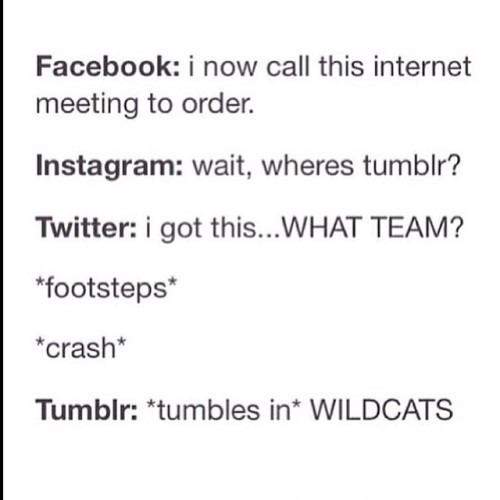 once-upon-a-wholockian:  • Tumblr tumbles in 