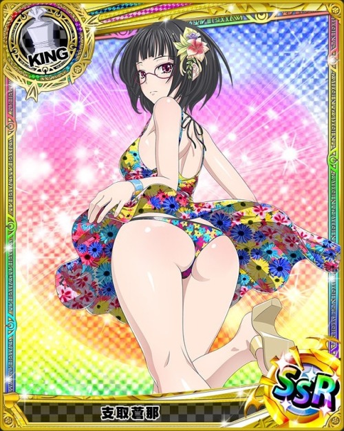 levantein:  Summer Hols is Here !!! And I share you all most beautiful girls of Highschool DxD.