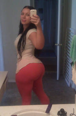 Elke the stallion