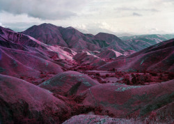 touchdisky:  1211-congo-infared-vegetation-714 // Frankq2