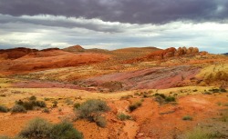 openbooks:  “Rainbow in the Red”Valley of Fire State Park,