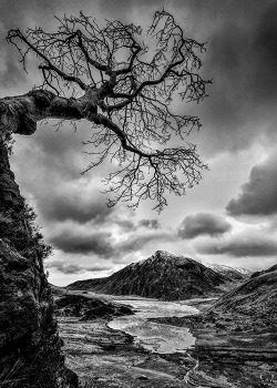whitesoulblackheart:  Llyn Idwal, Snowdonia, UK by Dylan Arnold