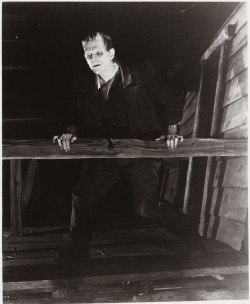 rowshark:    Frankenstein (1931)   