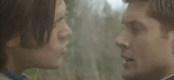 stayclassysupernatural:  Jared and Jensen