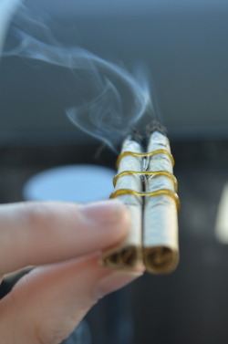 legalizeandsmoke:  earthtoporn:  spaceandweed:  Double Jointed