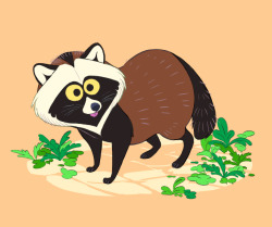 wrandonbu:  Tiny Tanuki 