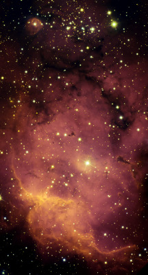 astronomicalwonders:  Star Formation in NGC 2467 NGC 2467 lies