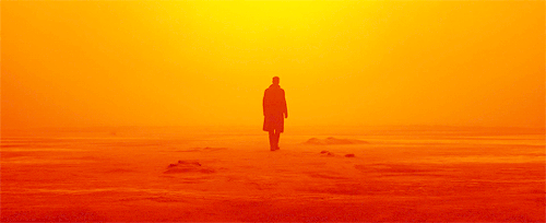 ryangoslingsource:Blade Runner 2049 (2017, Denis Villeneuve)