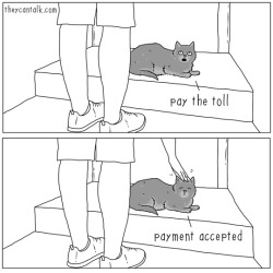 theycantalk:  door troll