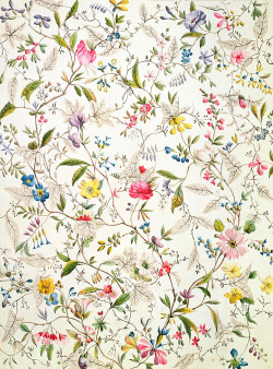 dappledwithshadow:William Kilburn: Wild flowers design for silk