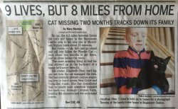 dailyblep:  Homeward Blep: Salem treks 8 miles over two months
