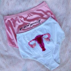 daizylemonade:  💗Hand embroidered panties💗 by @babyshar69