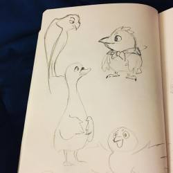 gracekraft:  some birds #sketches #characterdesign 