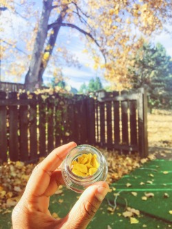 cannabis-vibes:Warmer days ☀️