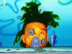 pharaohmangos:  Do you live in a pineapple under the sea or nah
