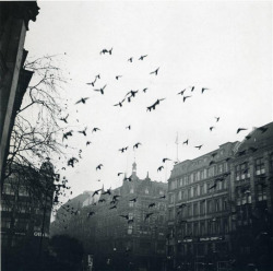  John Gutmann Goodbye Berlín, 1933 