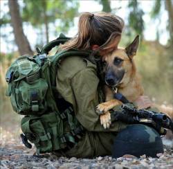 hockeypuck77:  arnold-ziffel:Love dogs…  Honoring our Military