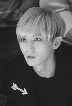비스트
