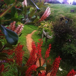 Hobbiton, New Zealand