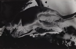 istmos:Noriaki Yokosuka, from “Burning Body” series