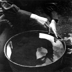 inritus:  Aiko’s Hands, 1971. Photographed by Imogen Cunningham.