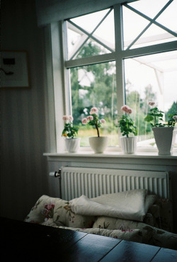 b4bel:  untitled by elea te dice hola on Flickr. 