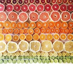 foodffs:  Photographer Arranges Foods In Beautiful Color Gradients