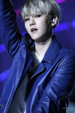 fybaekhyun:  151202 Mnet Asian Music Awards in Hong Kong 2015