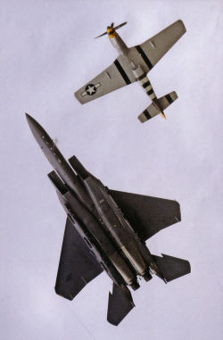 31262:  F-15E + P-51D (Source) 