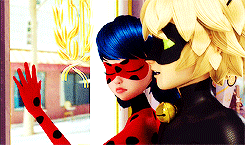 miraculousdaily:  #Chat Noir # from grumpy cat # to flirty cat
