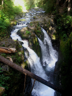 this-is-wild:  Waterfalls Olympic National Park, Washington State