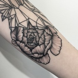 sashatattooing:  Peony details 🌸 #sashatattooing #linework