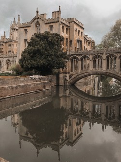 studyplants: bridge of sighs, cambridge | ig: studyplants